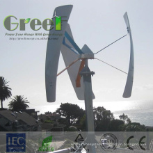 500W 1kw 2kw Small Mini Wind Generator Turbine for Sale